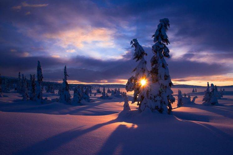 trees, Sunlight, Landscape, Snow, Winter, Nature, Clouds HD Wallpaper Desktop Background