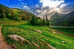 nature, Landscape, Lake, Mountain, Forest, Wildflowers, Spring, Pine Trees, Path, Switzerland, HDR