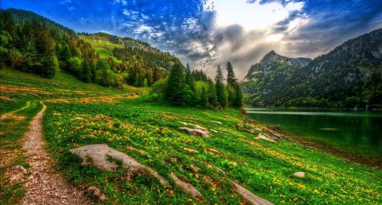 nature, Landscape, Lake, Mountain, Forest, Wildflowers, Spring, Pine Trees, Path, Switzerland, HDR HD Wallpaper Desktop Background