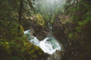nature, Landscape, Forest, River, Waterfall, Mist, Vancouver Island, British Columbia, Canada, Trees, Shrubs, Moss