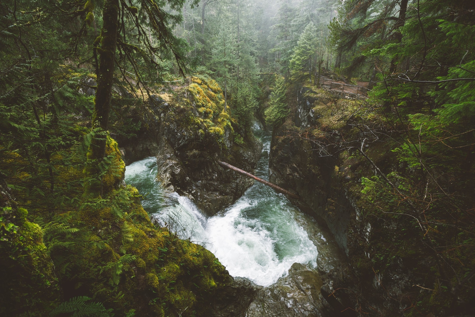 nature, Landscape, Forest, River, Waterfall, Mist, Vancouver Island, British Columbia, Canada, Trees, Shrubs, Moss Wallpaper