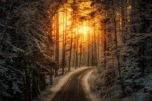 nature, Landscape, Sunrise, Sunlight, Road, Winter, Forest, Snow, Trees, Finland