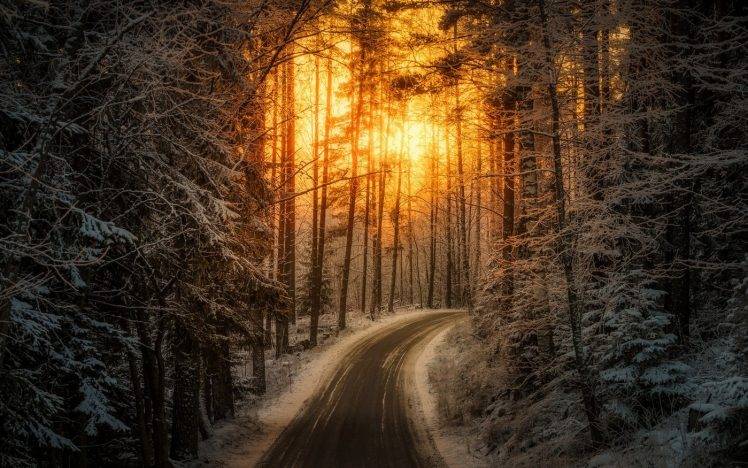 nature, Landscape, Sunrise, Sunlight, Road, Winter, Forest, Snow, Trees, Finland HD Wallpaper Desktop Background