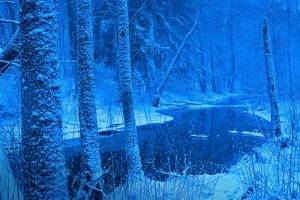 nature, Landscape, Winter, Forest, River, Snow, Trees, Blue, Cold, Frost, Poland
