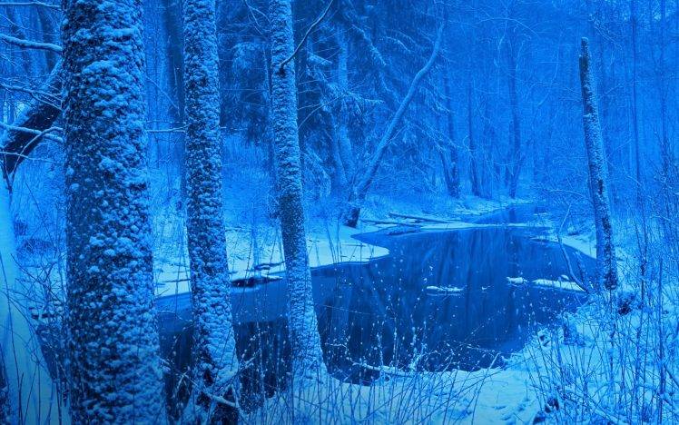 nature, Landscape, Winter, Forest, River, Snow, Trees, Blue, Cold, Frost, Poland HD Wallpaper Desktop Background