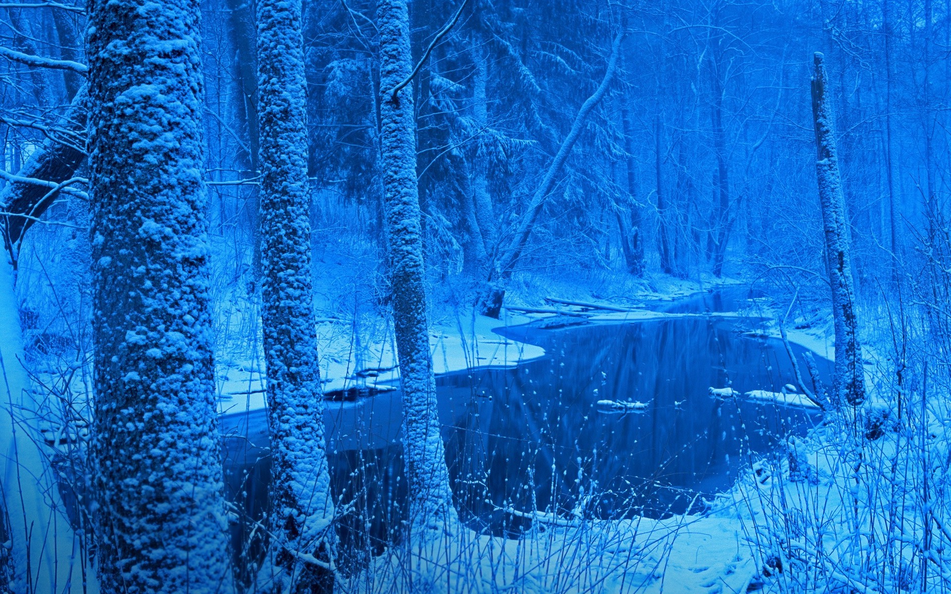 nature, Landscape, Winter, Forest, River, Snow, Trees, Blue, Cold, Frost, Poland Wallpaper