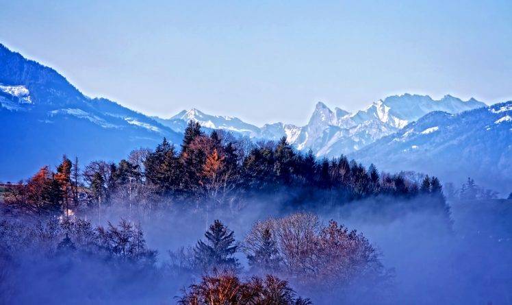 mist, Trees, Mountain, Nature, Landscape, Forest HD Wallpaper Desktop Background