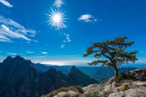 Corsica, France, Landscape, Trees, Sun
