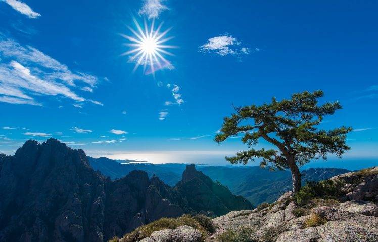 Corsica, France, Landscape, Trees, Sun HD Wallpaper Desktop Background