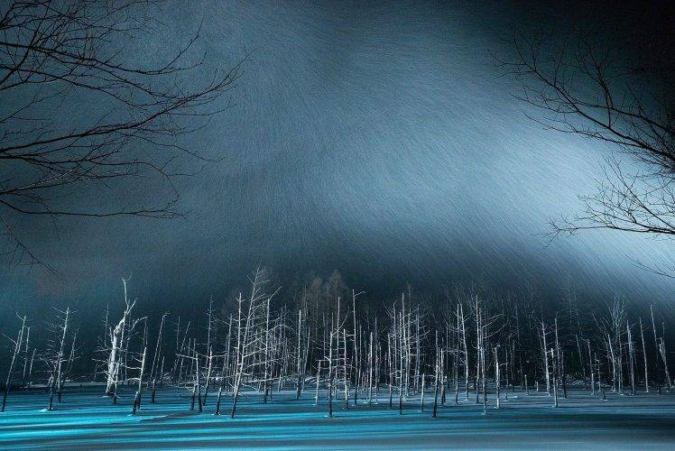 landscape, Nature, Winter, Pond, Blue, Snow, Trees, Japan HD Wallpaper Desktop Background