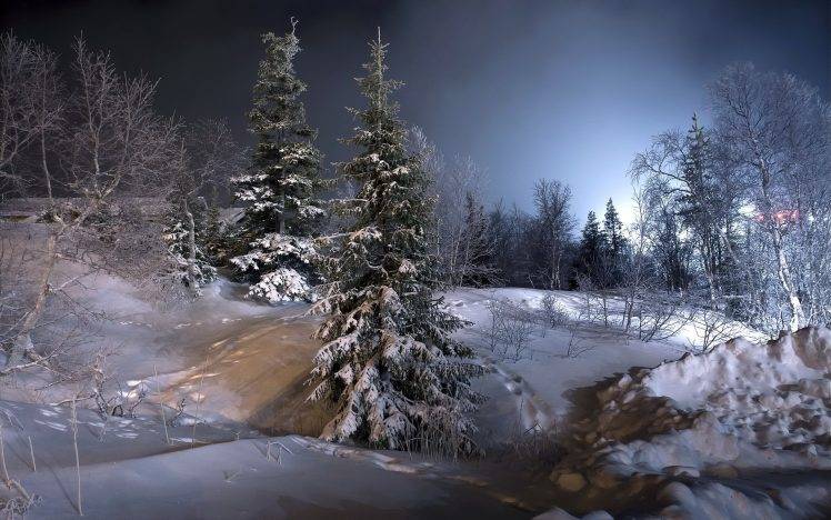landscape, Nature, Winter, Snow, Forest, Lights, Cold, Trees, Hill HD Wallpaper Desktop Background