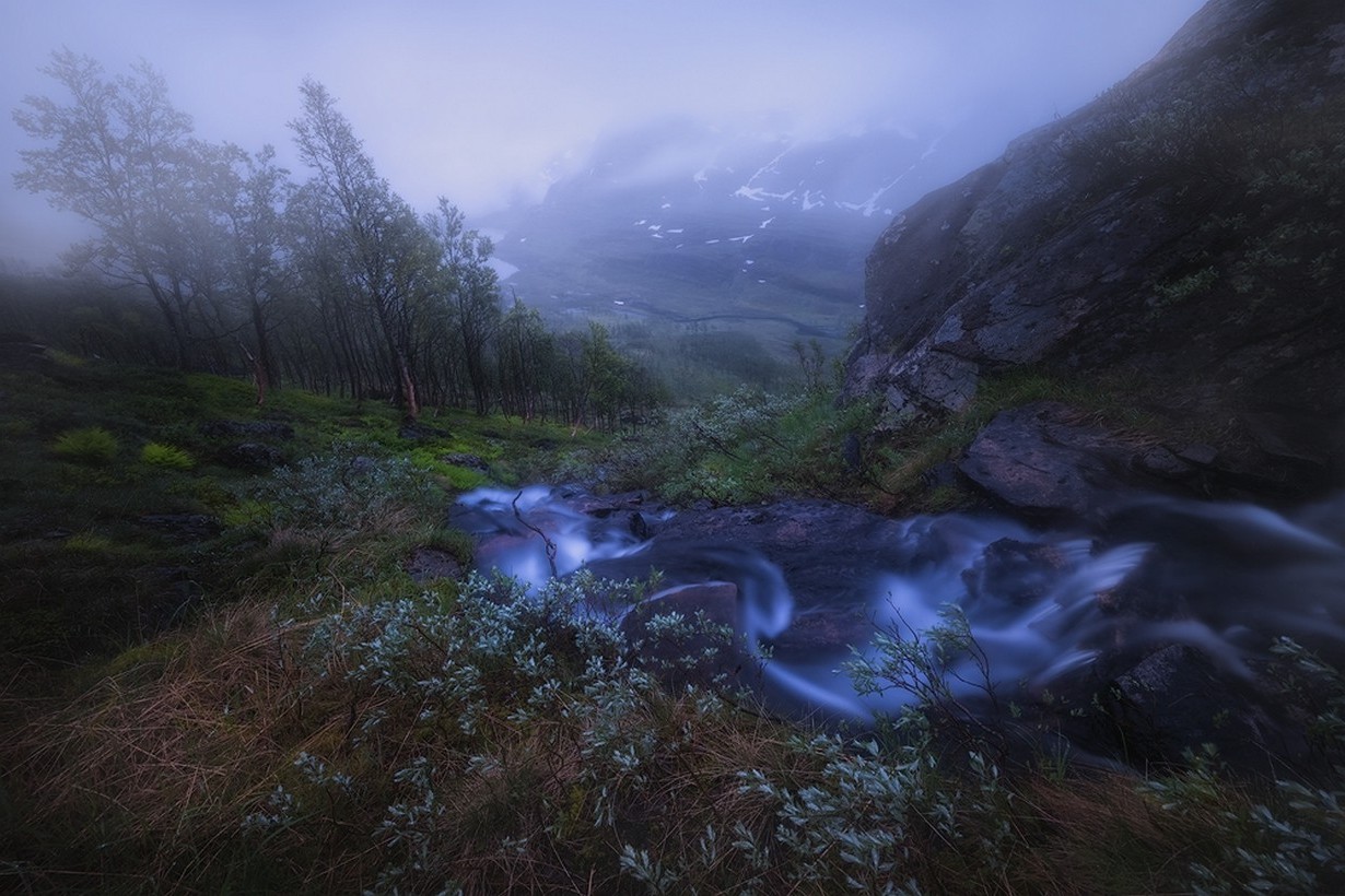 landscape, Nature, Creeks, Mist, Shrubs, Mountain, Trees, Rain, Grass, Norway, Long Exposure Wallpaper