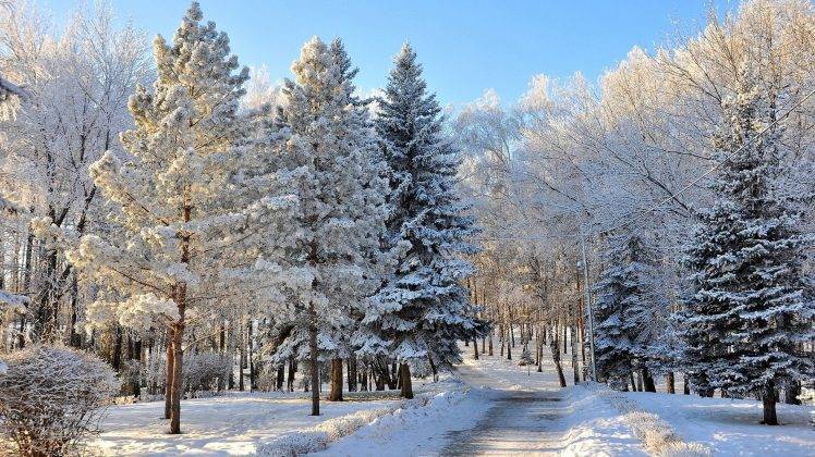 landscape, Winter, Trees, Snow HD Wallpaper Desktop Background