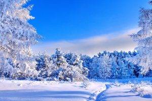 winter, Landscape, Trees, Nature, Snow
