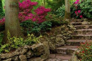 garden, Stairs, Flowers