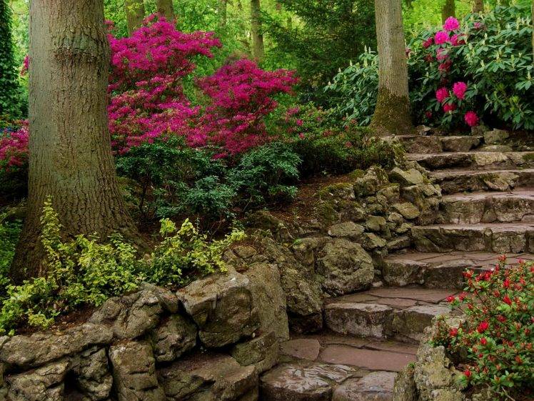 garden, Stairs, Flowers HD Wallpaper Desktop Background