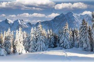 winter, Landscape, Nature, Snow, Trees, Mountain