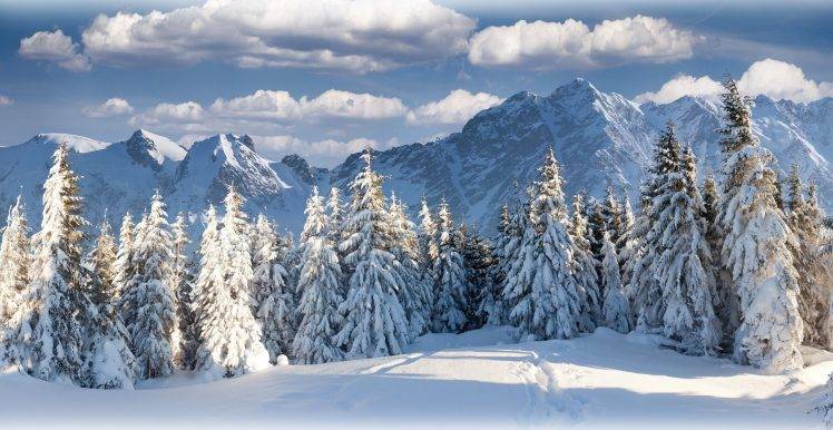winter, Landscape, Nature, Snow, Trees, Mountain HD Wallpaper Desktop Background