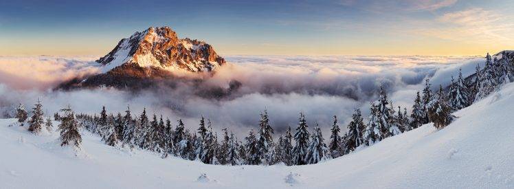 winter, Trees, Landscape, Mountain HD Wallpaper Desktop Background