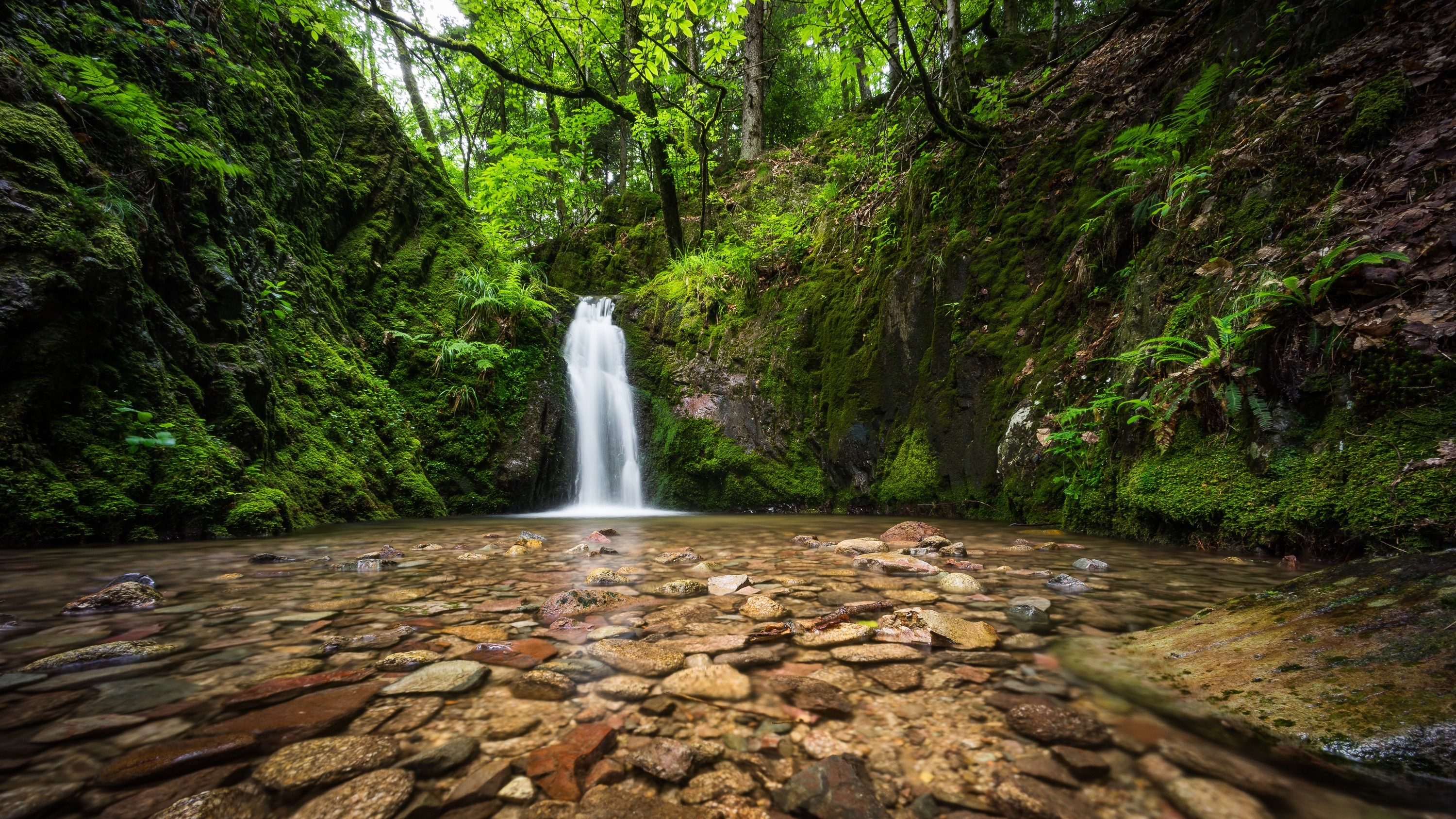 landscape, Water Wallpaper