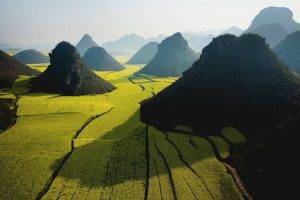 photography, Nature, Landscape, Rice Paddy, Field, Mountain