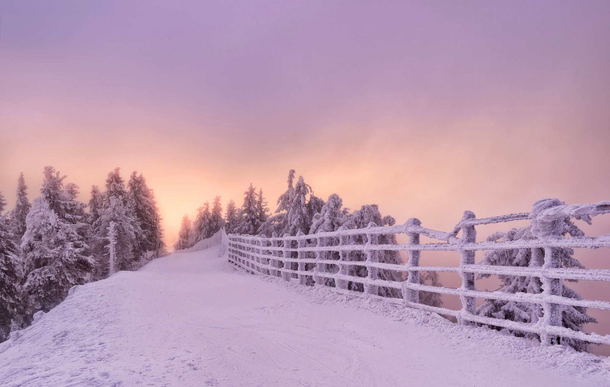 winter, Snow, Landscape Wallpaper