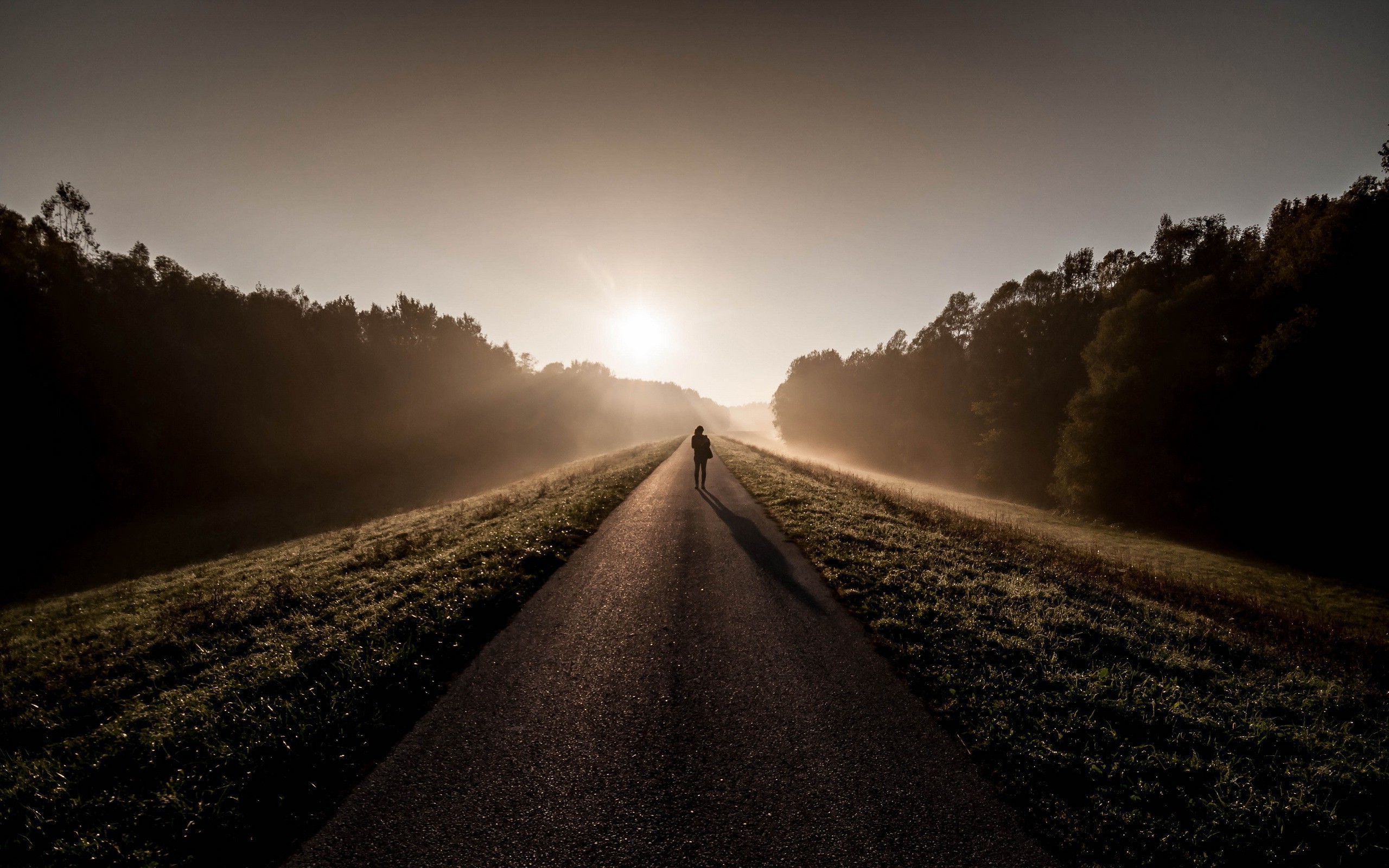 photography, Landscape, Nature, Sunrise, Road, Grass, Trees, People ...