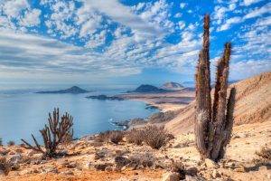 nature, Landscape, Beach, Cactus, Sea, Hill, Clouds, Atacama Desert, Coast, Chile, National Park
