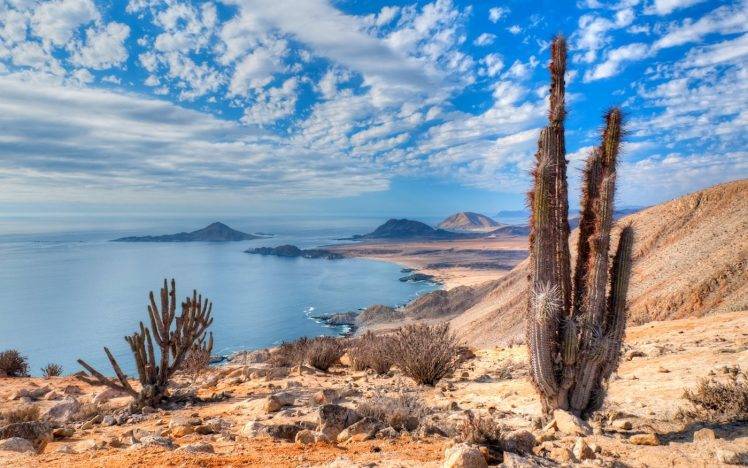 nature, Landscape, Beach, Cactus, Sea, Hill, Clouds, Atacama Desert, Coast, Chile, National Park HD Wallpaper Desktop Background