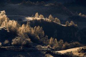 nature, Landscape, Sunrise, Trees, Fence, Shrubs, Field, Sunlight, Romania