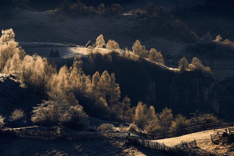 nature, Landscape, Sunrise, Trees, Fence, Shrubs, Field, Sunlight, Romania HD Wallpaper Desktop Background