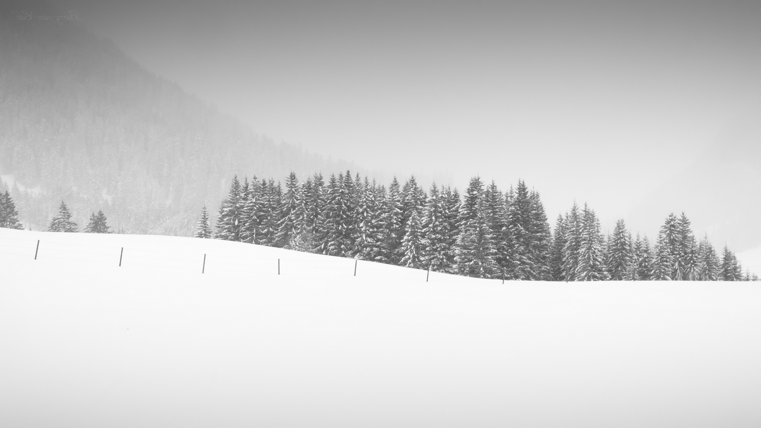 snow, Landscape, Trees Wallpaper