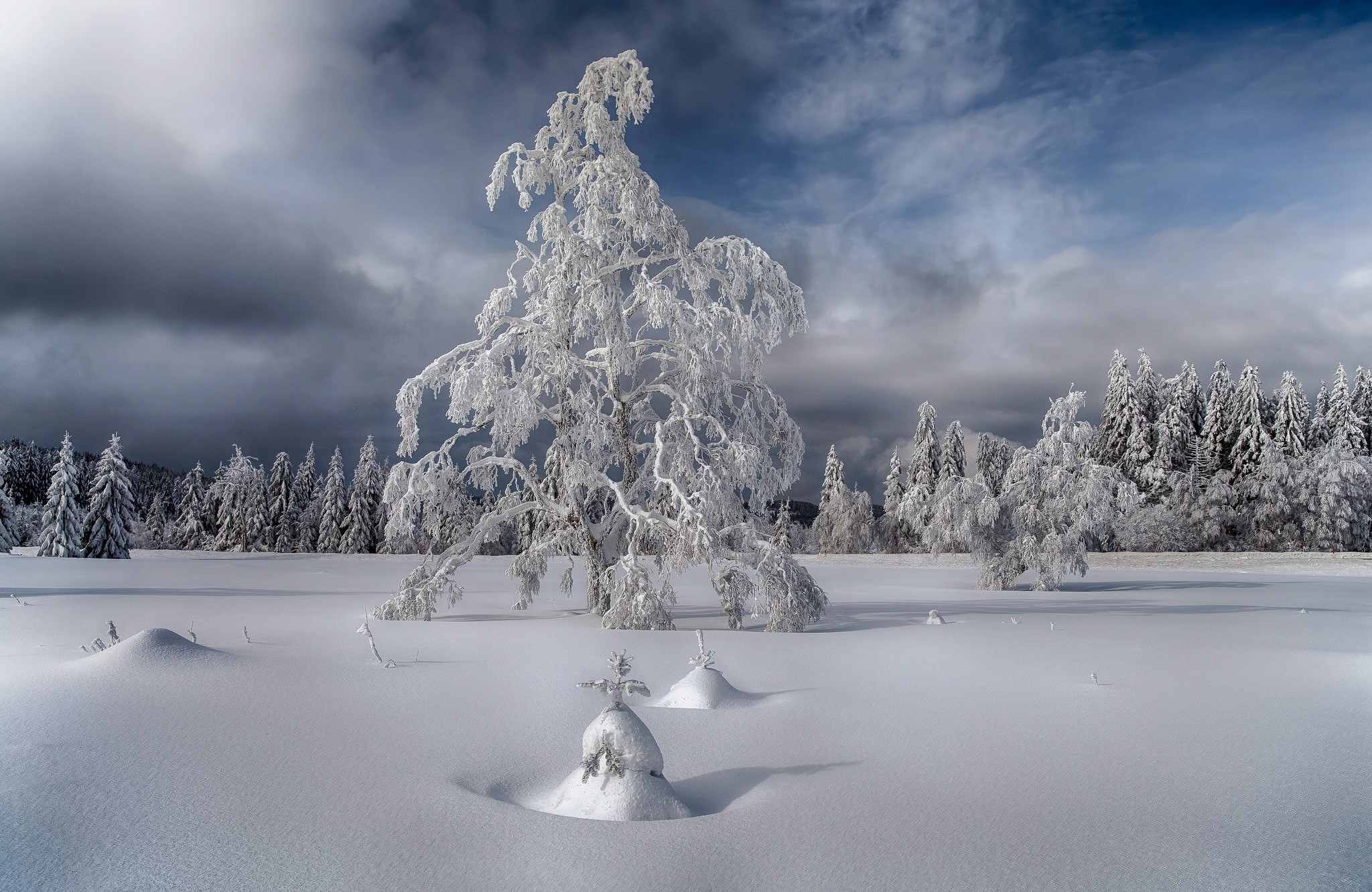 winter, Snow, Landscape, Trees Wallpaper