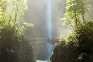 nature, Forest, River, Waterfall,  Waterfall, Bridge, Landscape