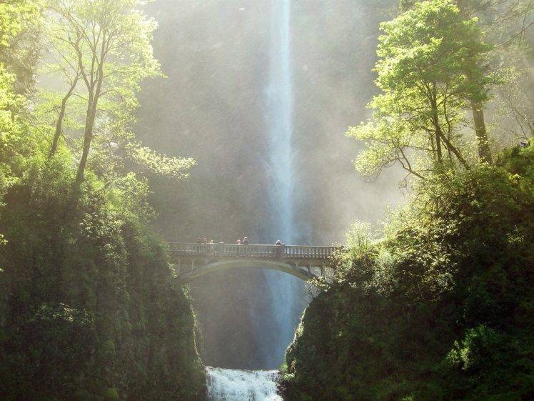 nature, Forest, River, Waterfall,  Waterfall, Bridge, Landscape HD Wallpaper Desktop Background