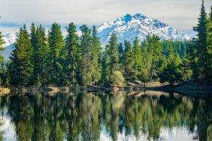 nature, Landscape, Lake, Forest, Mountain, Snowy Peak, Water, Reflection, Pine Trees, Fence, Chile