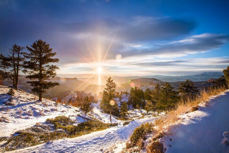 sunlight, Winter, Landscape, Snow HD Wallpaper Desktop Background