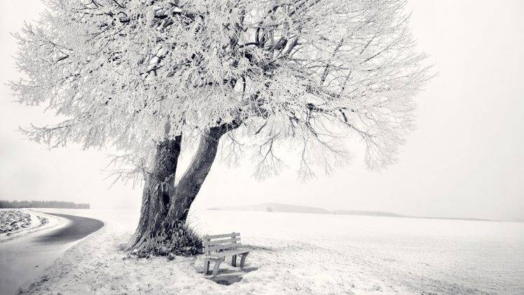 photography, Landscape, Nature, Winter, Snow, Trees HD Wallpaper Desktop Background