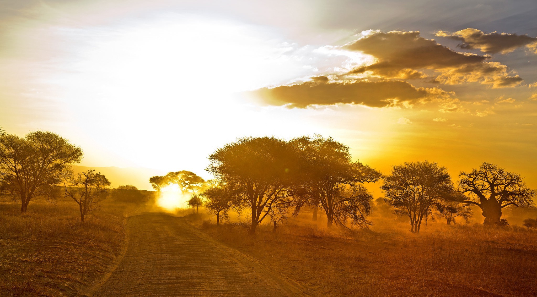 landscape Wallpaper