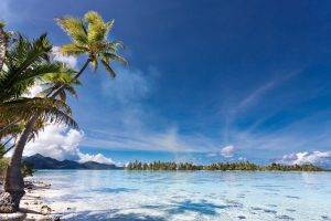 landscape, Nature, Beach, Palm Trees, Island, Sea, Tropical, Eden, Mountain, Summer, French Polynesia