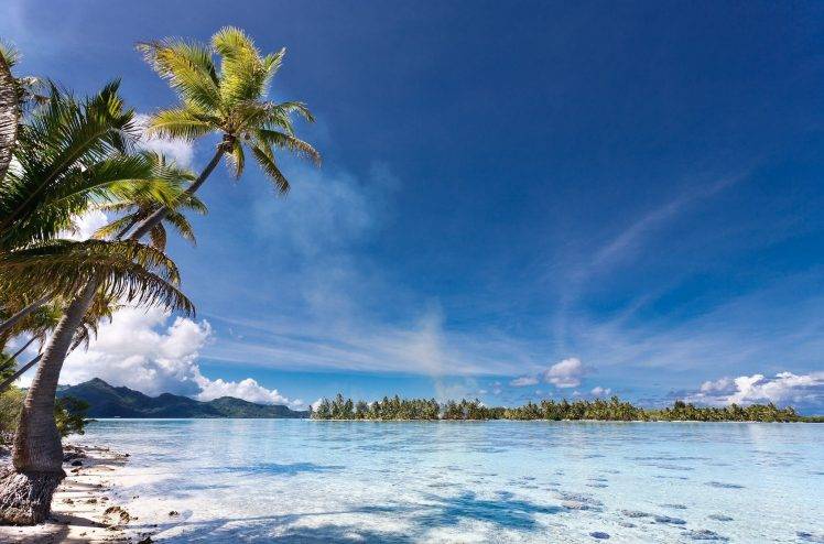 landscape, Nature, Beach, Palm Trees, Island, Sea, Tropical, Eden, Mountain, Summer, French Polynesia HD Wallpaper Desktop Background