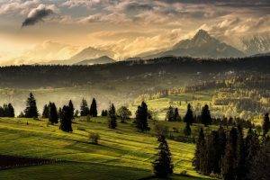 nature, Landscape, Tatra Mountains, Forest, Grass, Mist, Clouds, Village, Snowy Peak, Slovakia