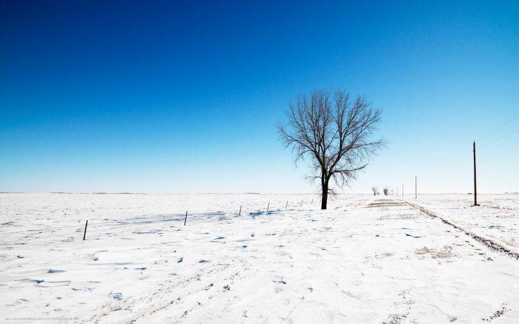 photography, Landscape, Nature, Winter, Trees, Snow, Road, Field HD Wallpaper Desktop Background