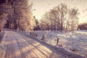 photography, Landscape, Nature, Winter, Trees, Snow, Plants, Branch, Road