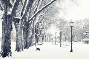 photography, Landscape, Nature, Winter, Trees, Snow, Urban, City, Park, Bench