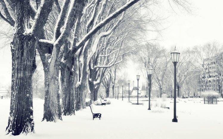 photography, Landscape, Nature, Winter, Trees, Snow, Urban, City, Park, Bench HD Wallpaper Desktop Background