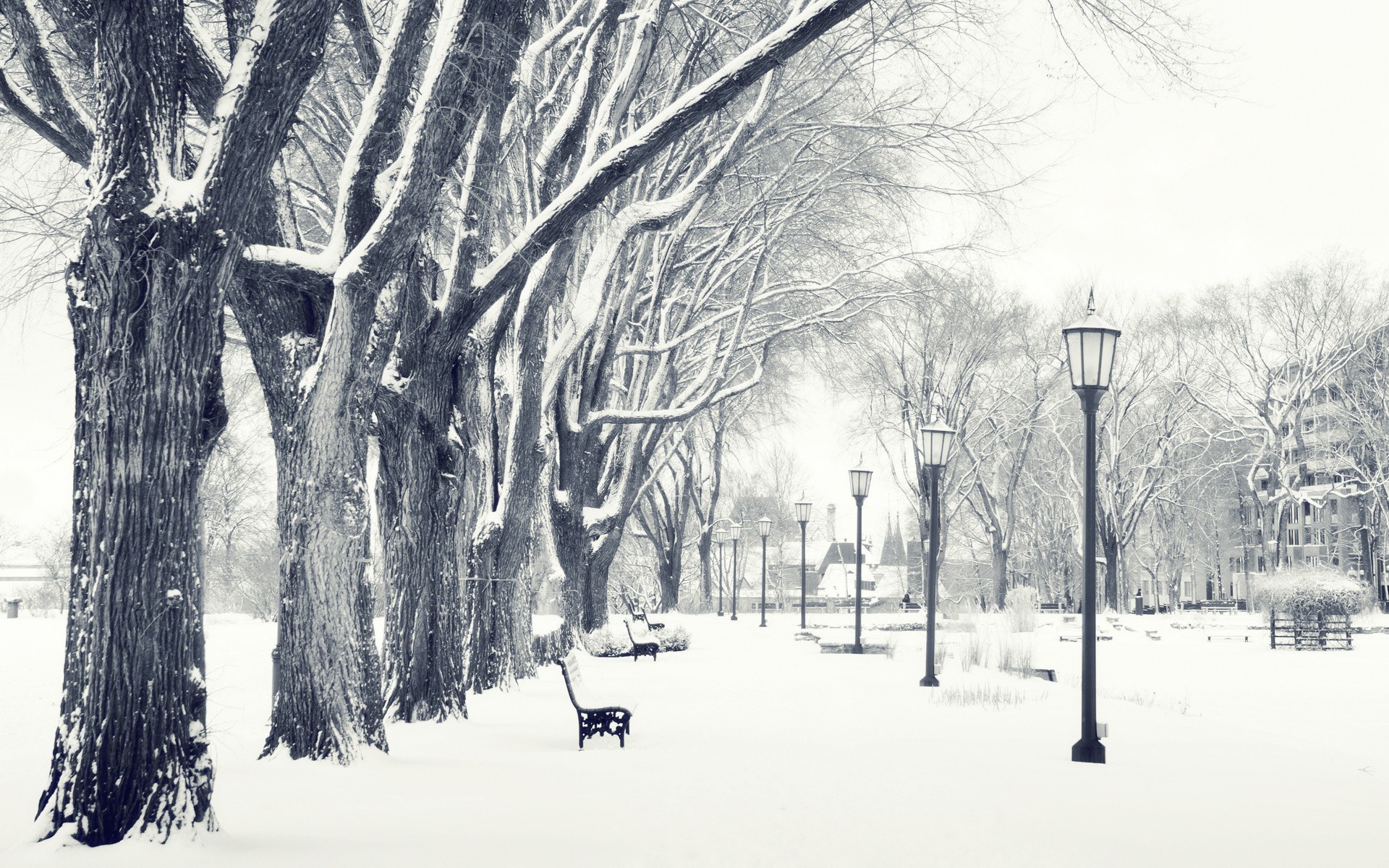 photography, Landscape, Nature, Winter, Trees, Snow, Urban, City, Park, Bench Wallpaper