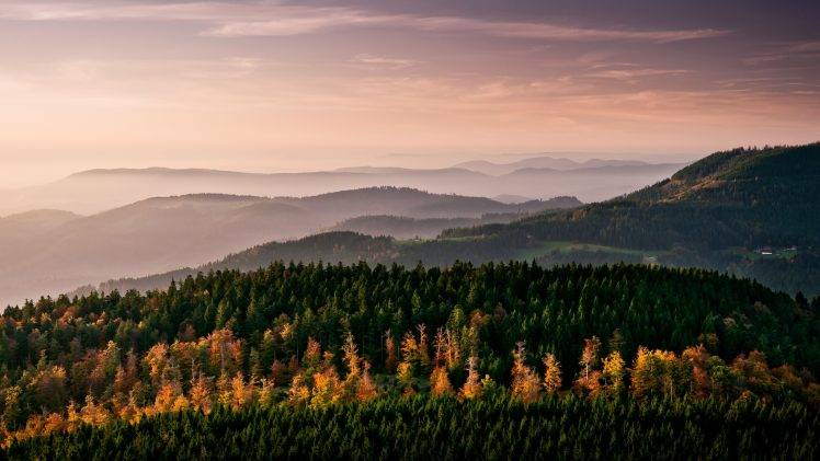 nature, Landscape, Mountain, Trees, Forest, Mist HD Wallpaper Desktop Background