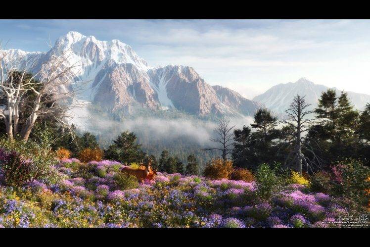 landscape, Grass, Mount Art HD Wallpaper Desktop Background