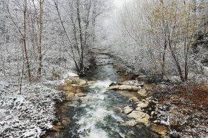 nature, Snow, Winter, Landscape, Forest, River, Trees, Photography